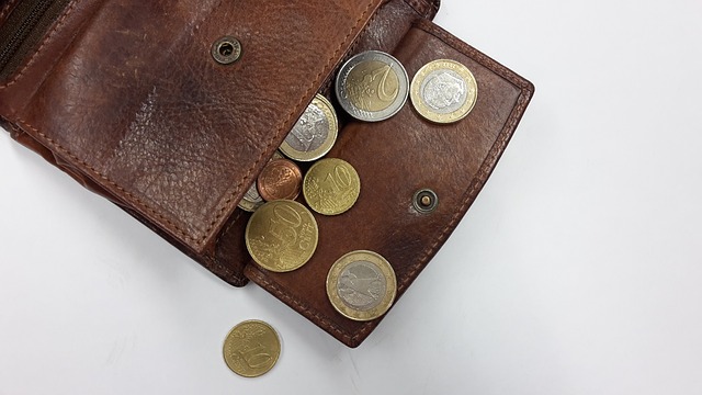外国製のコインの入った財布
